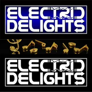 Musica Elettronica Electric Delights