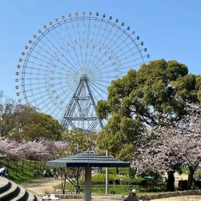 Osaka wheel