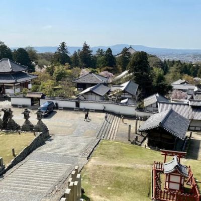 Nara park