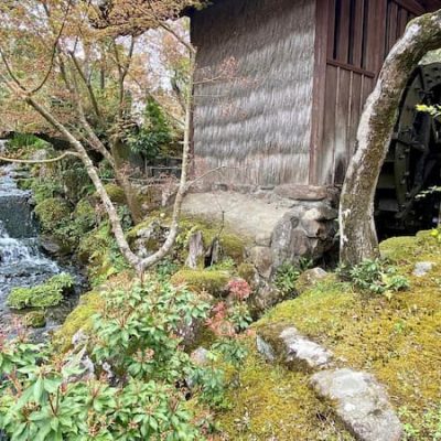 Nara Suimoncho garden