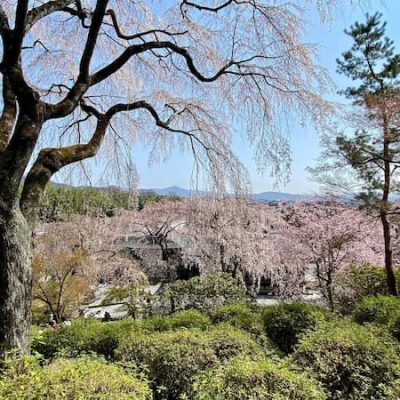 Tenryuj garden