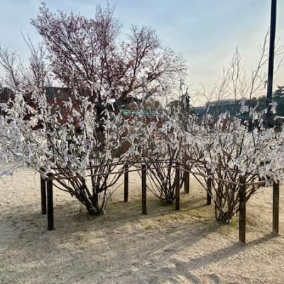 heian jingu kyoto