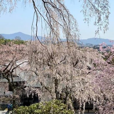 Tenryuj garden