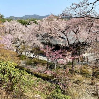 Tenryuj garden