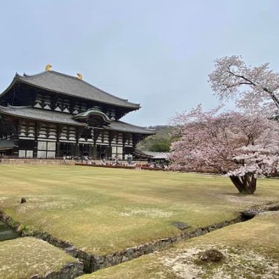 Todai-Ji Temple Nara