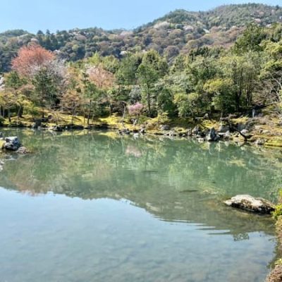 Tenryuj garden