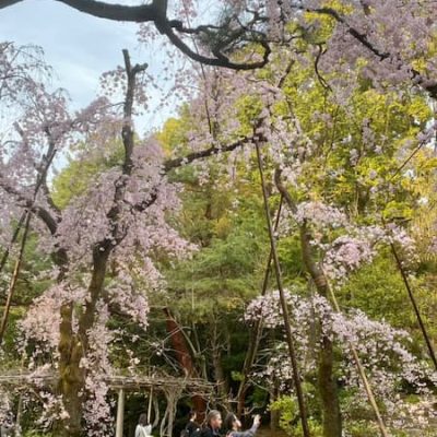 heian jingu garden kyoto