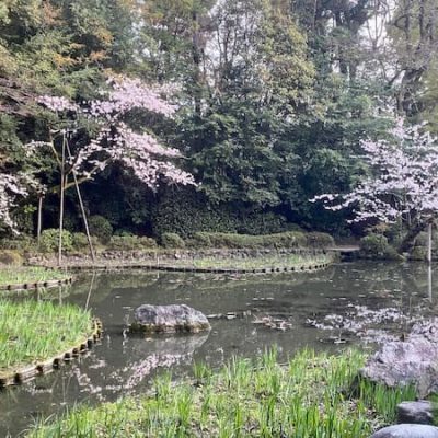 heian jingu garden kyoto